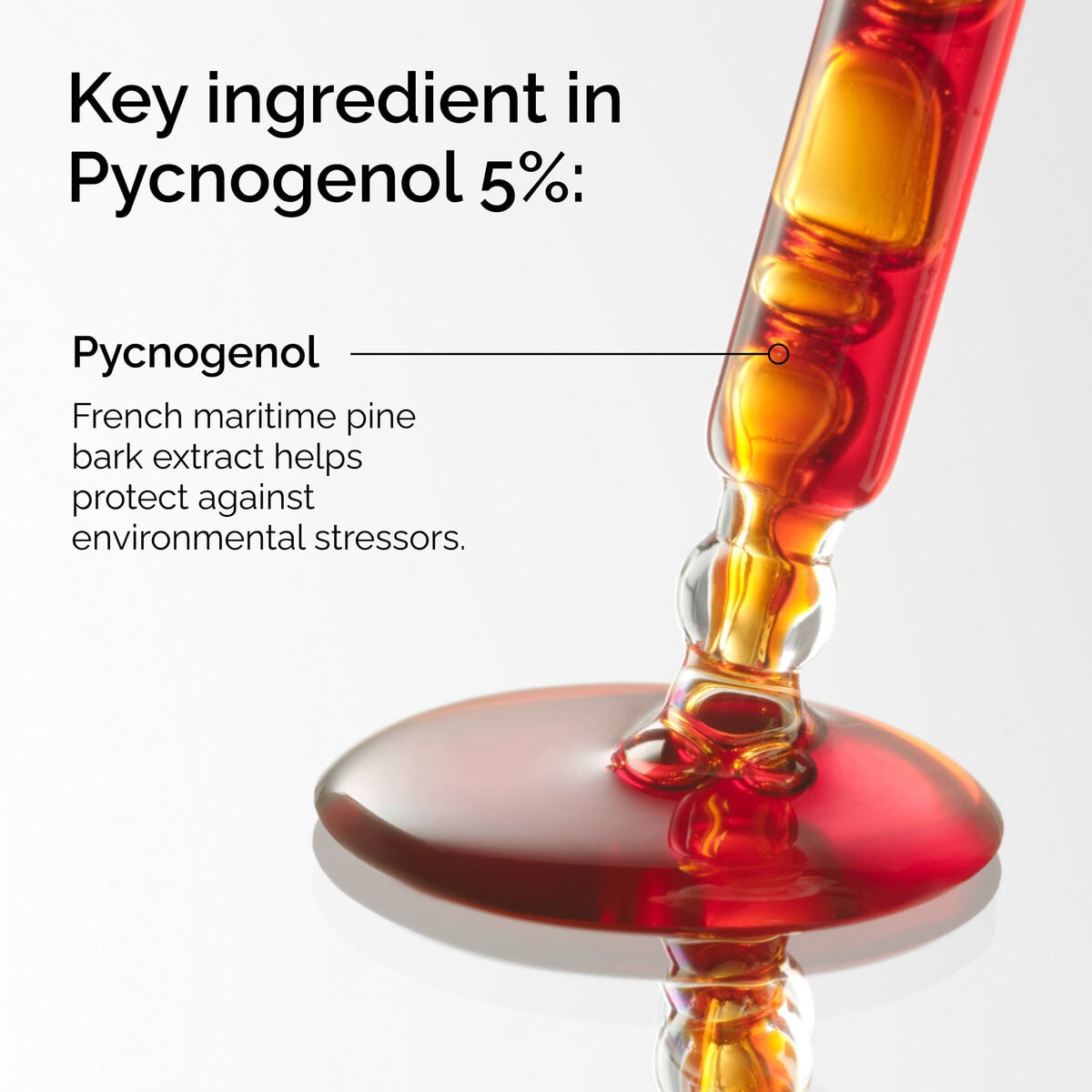 pycnogenol-5-t9 FY25-D41247-ORD-Web-PDP-Pyc-5pct-1x1-EN-2a.jpg