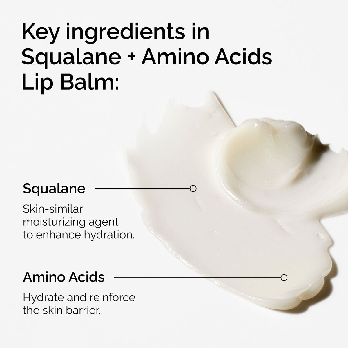 squalane-amino-acids-lip-balm-n6 FY25-D41247-ORD-Web-PDP-Sql-Amino-Lip-1x1-EN-2a.jpg