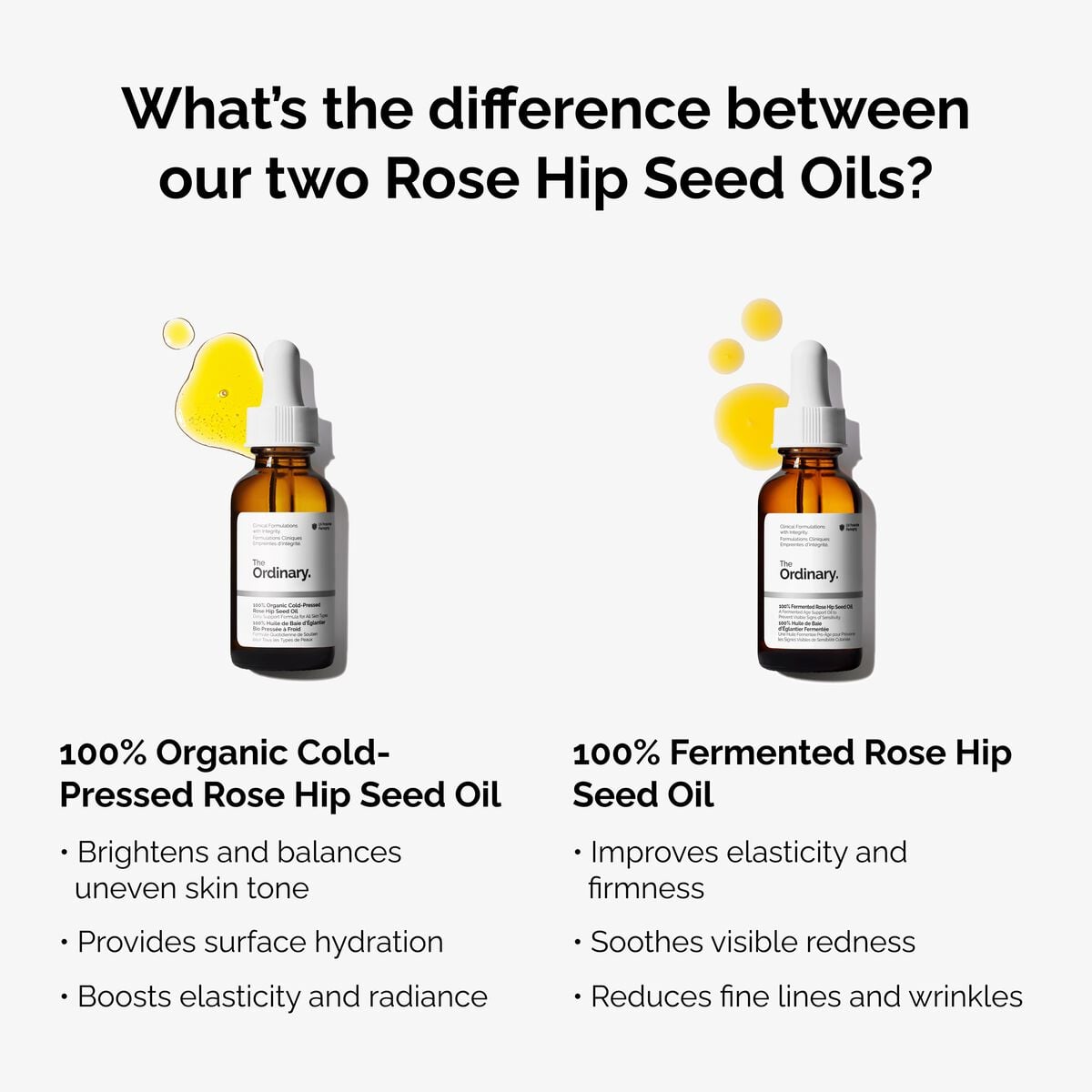 100-fermented-rose-hip-seed-oil-k8 fermented-rose-hip-vs-organic-rose-hip-graphic.jpg