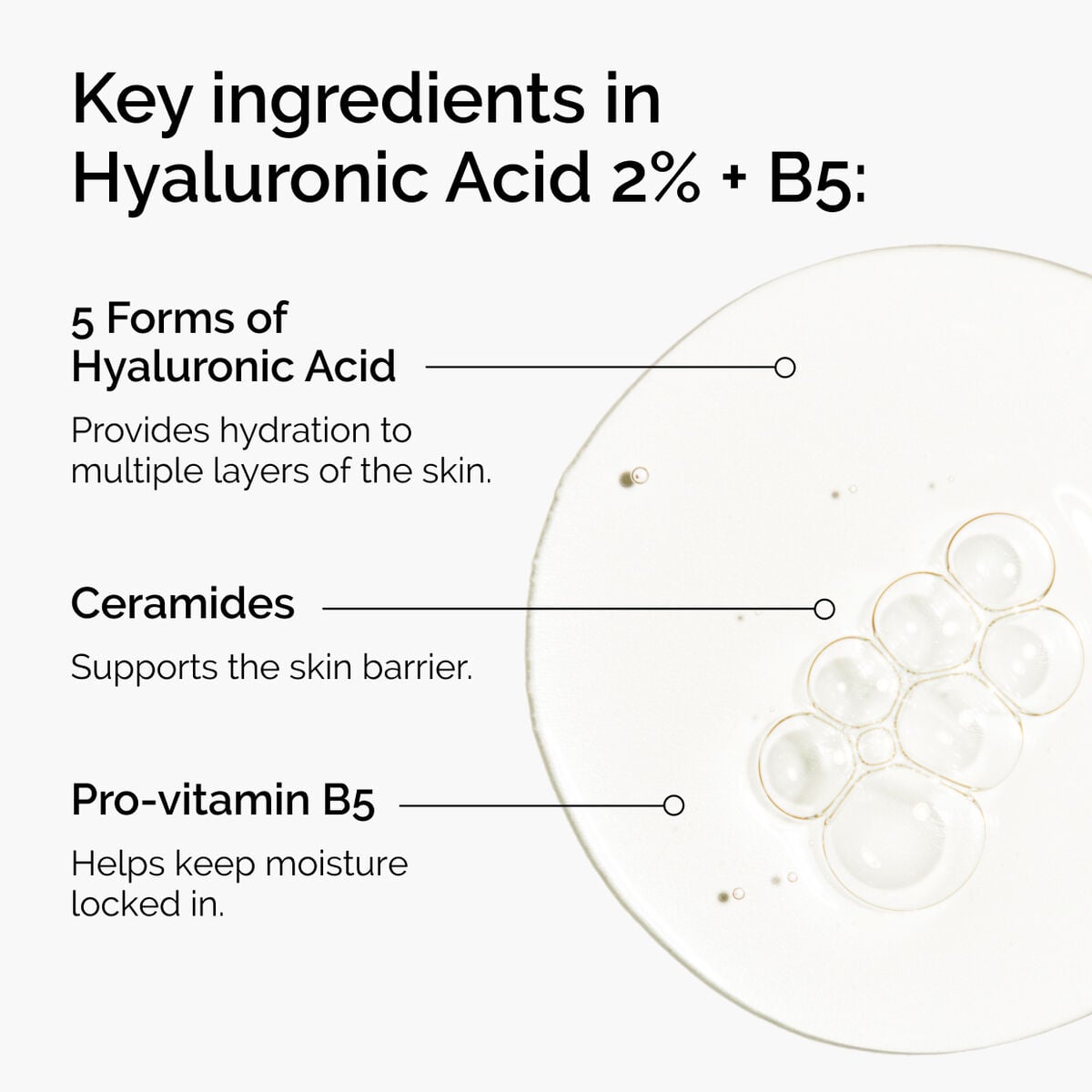 hyaluronic-acid-2-b5-with-ceramides-j3 ord-hyaluronic-acid-2pct-b5-hydrating-serum-ingredients-graphic.jpg
