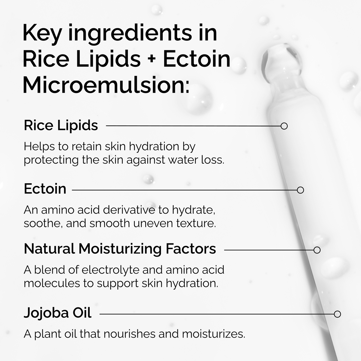 rice-lipids-ectoin-microemulsion-e9 ord-rice-lipids-ectoin-microemulsion-key-ingredients.png