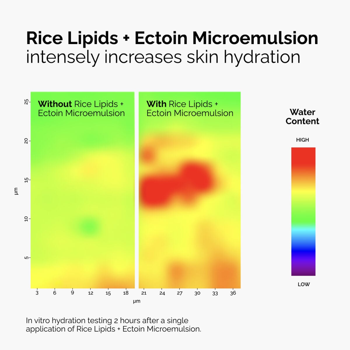 rice-lipids-ectoin-microemulsion-e9 ord-rice-lipids-ectoin-microemulsion-thermal-before-after.jpg